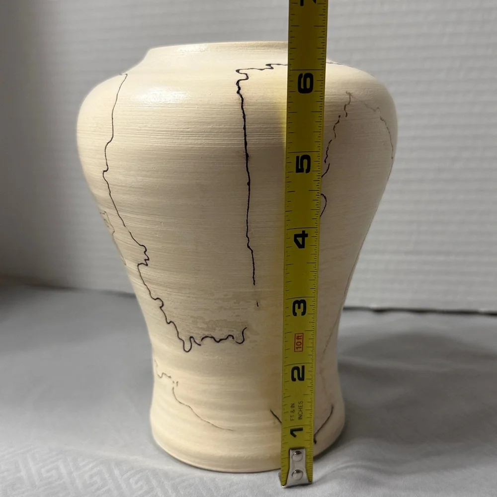 Navajo Indian Pottery Horse Hair Vase Signed 6 1/4 inches Unique